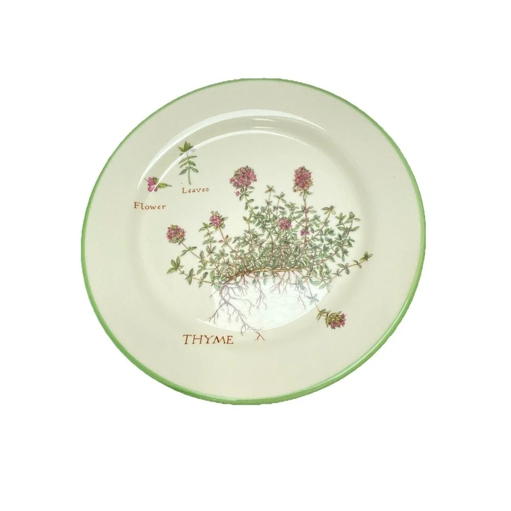 WILLIAMS SONOMA Set 4 Culinary Herbs Lunch Plate BORAGE Chervil THYME Dandelion